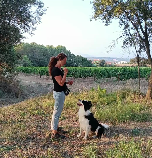 Conexió amb el gos en treball d'obediència