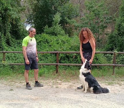 Elisa i Antonio practicant educació canina amb una border collie